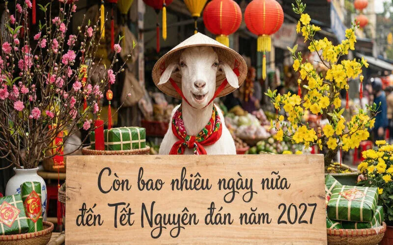 feat 1785116523